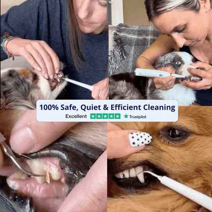 DentaPaw Pro — At-Home Ultrasonic Tartar & Plaque Remover for Dogs